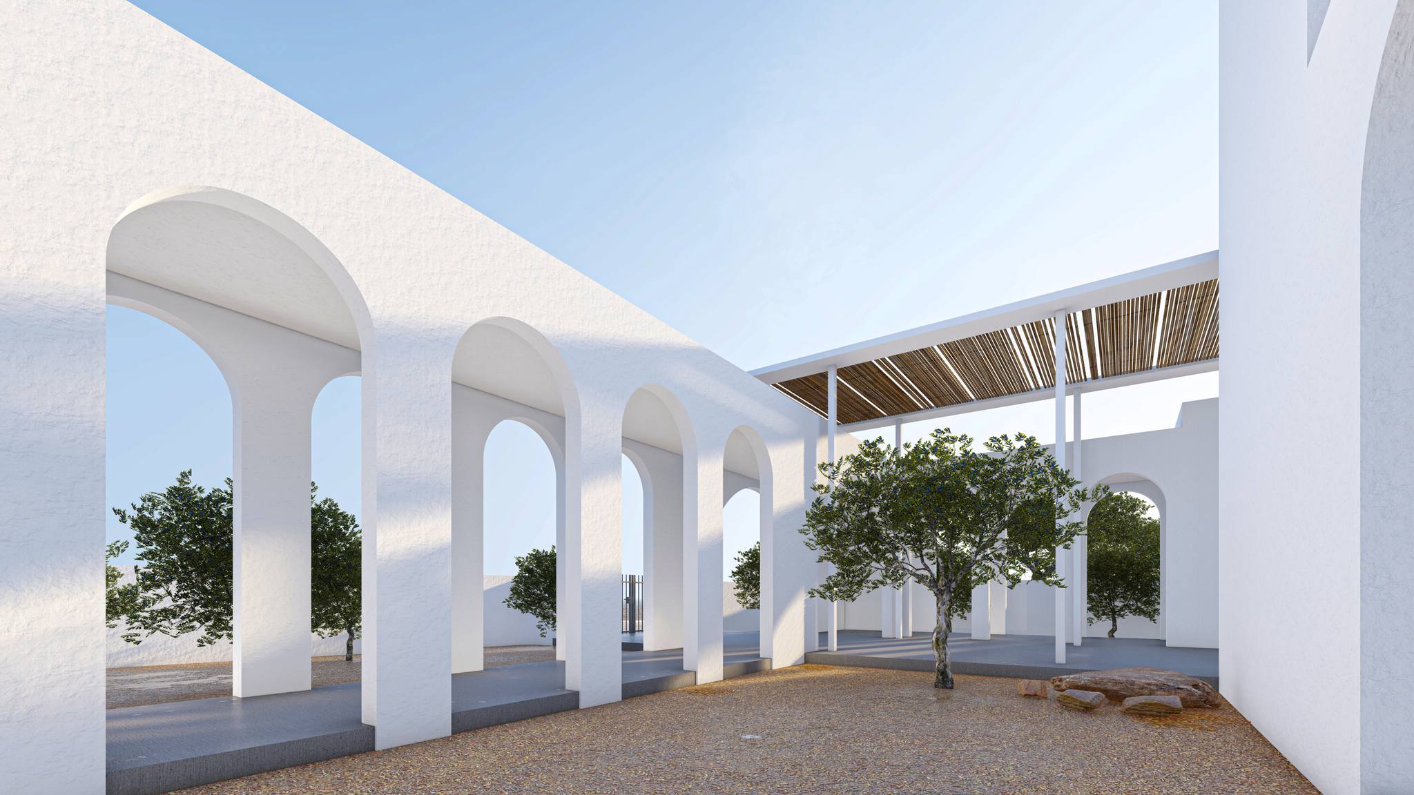 484395859_1161604872329080_636188800358613694_n